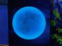 -天津梵高星空艺术馆(天河城旗舰店)