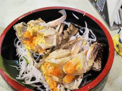 -渔娘渔家丹东海鲜(东直门店)