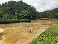 -韶山毛泽东同志故居