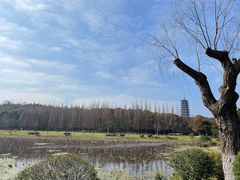 -宜兴龙背山森林公园