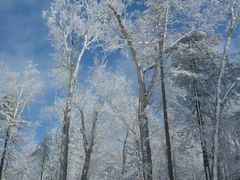 -全家便利店(孩儿巷店)