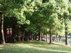 -东方绿舟景区