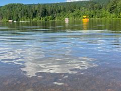 -五营红松林海景区