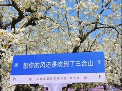 -江苏三台山国家森林公园