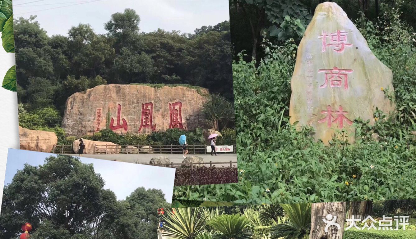 日游攻略丨深圳福永一日游玩法