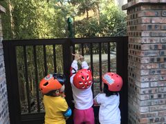 -铁山坪森林公园