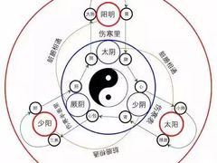 -裕和堂中医推拿艾灸(太古汇臻品店)