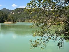 -广州白江湖森林公园