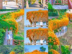 -桃花涧