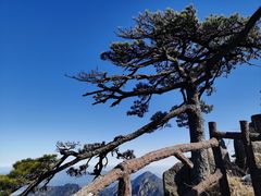 -黄山风景区