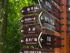 -广西壮族自治区药用植物园