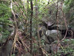 景点-七仙岭温泉国家森林公园