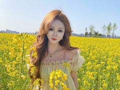 -汉长安城未央宫国家考古遗址公园