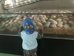 -南通洲际绿博园