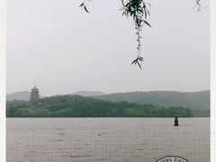 -西湖外事游船(花港观鱼码头)