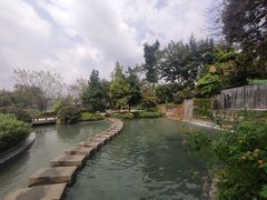 -成飞公园