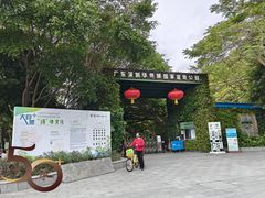 -华侨城湿地公园