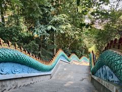 -西双版纳勐泐文化旅游区