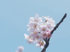 -上海辰山植物园