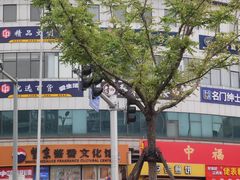 -中福百货(望京店)