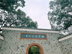 -八大山人梅湖景区