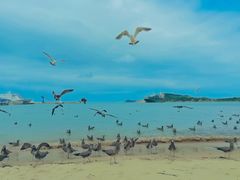 -海驴岛(荣成市)