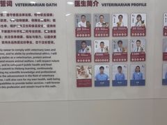 -御宝贝24h宠物医院·转诊中心·CT核磁血透中心(厦门总院)