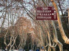 -灵谷景区
