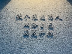-溪岸路花鸟市场