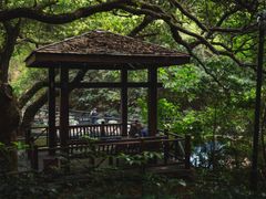 -月亮湾公园