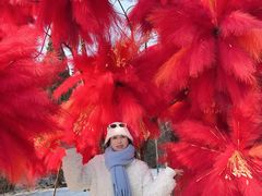 -沈阳植物园