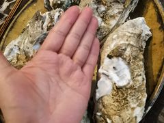 -蠔爺王志德生蚝馆(金沙湾店)