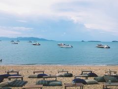 -Coco Tam’s