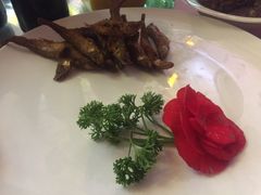 -上海浦东嘉里大酒店