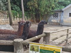 -昆明动物园