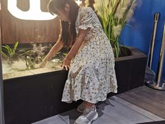 -盛江山自助料理(奥莱锦辉购物广场店)