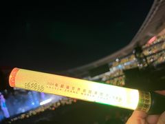 -南京奥林匹克体育中心-体育馆