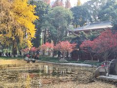 -温江公园
