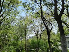 -滨河世纪广场公园