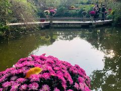 -汇龙潭