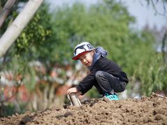 -上海长兴岛郊野公园