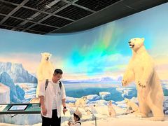 -陕西自然博物馆