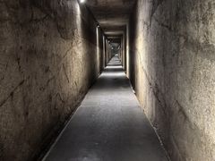 -徐州龟山景区