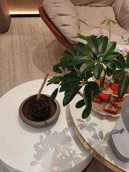 -丽都整形美容医院·全国连锁旗舰店