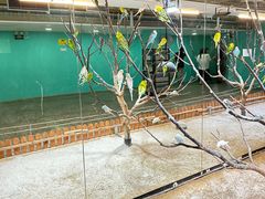 -上海大自然野生昆虫馆(东方明珠·爬宠昆虫探索中心)