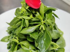 -全聚德烤鸭店(准噶尔路店)