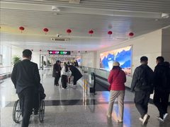 -石家庄正定国际机场-T2航站楼