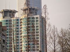 -西贝(上海中心店)
