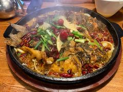 -老板恋上鱼(高新万达店)