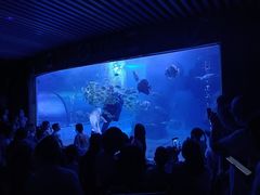 -左海海底世界
